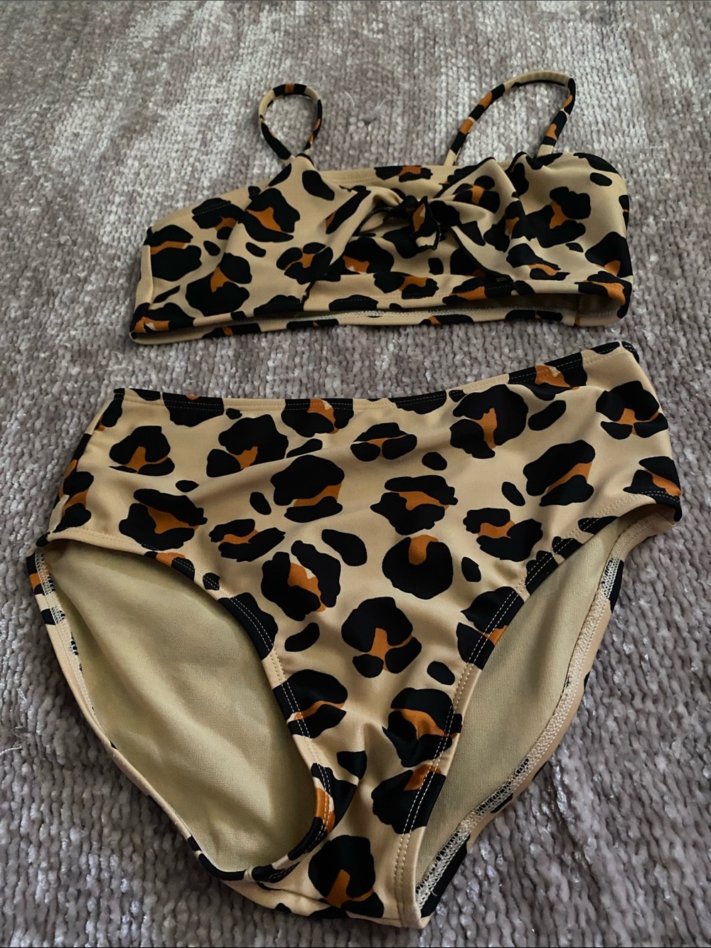 Leopard Print Two-Piece Bikini Set - Beige, Black & Brown